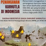 Kebakaran Hutan di Indonesia: Ancaman dan Upaya Penanganan