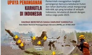Kebakaran Hutan di Indonesia: Ancaman dan Upaya Penanganan