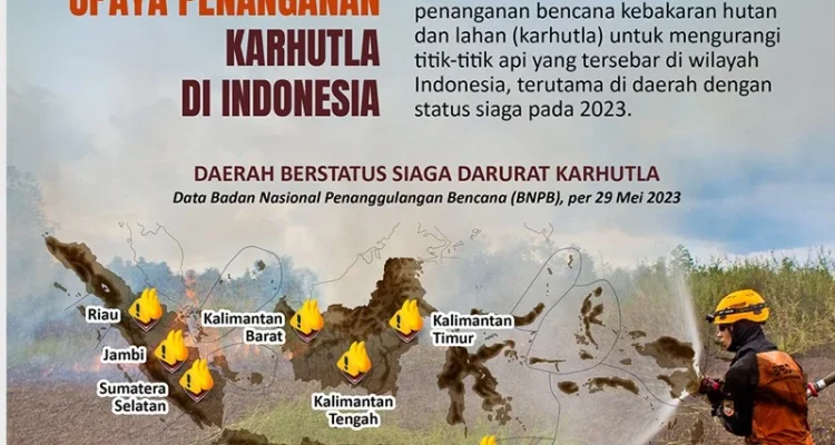 Kebakaran Hutan di Indonesia: Ancaman dan Upaya Penanganan
