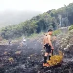 Kebakaran Kawah Wadon Gunung Gede Pangrango: Penutupan Pendakian dan Upaya Penanganan