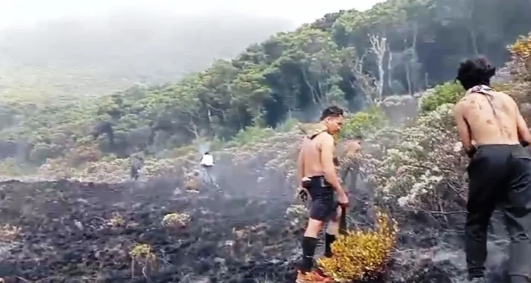 Kebakaran Kawah Wadon Gunung Gede Pangrango: Penutupan Pendakian dan Upaya Penanganan