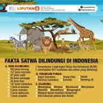 Kelaparan Mengancam Banyak Nyawa, Dari Satwa di Kebun Binatang Hingga Manusia di Berbagai Belahan Dunia