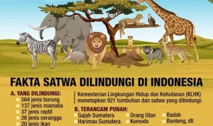 Kelaparan Mengancam Banyak Nyawa, Dari Satwa di Kebun Binatang Hingga Manusia di Berbagai Belahan Dunia
