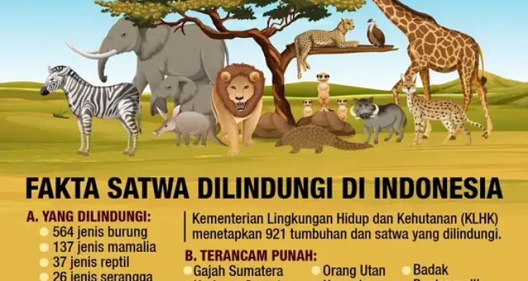 Kelaparan Mengancam Banyak Nyawa, Dari Satwa di Kebun Binatang Hingga Manusia di Berbagai Belahan Dunia