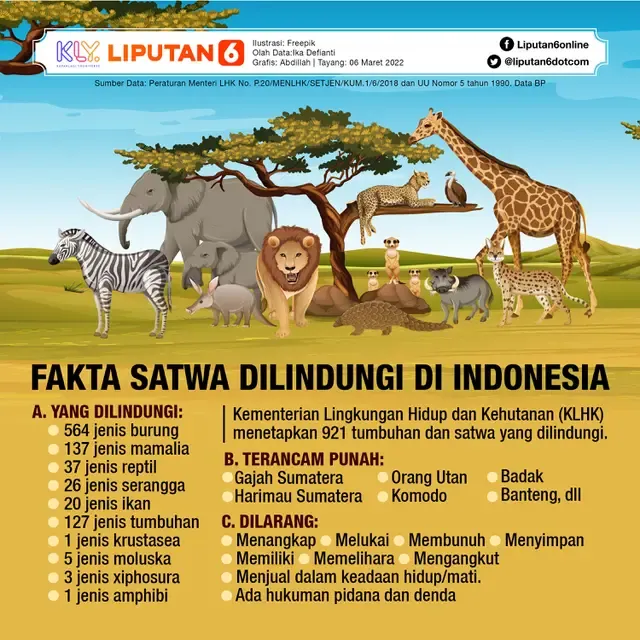 Kelaparan Mengancam Banyak Nyawa, Dari Satwa di Kebun Binatang Hingga Manusia di Berbagai Belahan Dunia