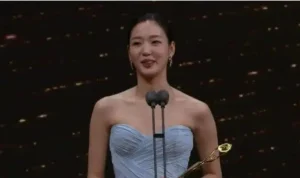 Kim Go-eun Raih Penghargaan Daesang di Blue Dragon Series Awards 2026