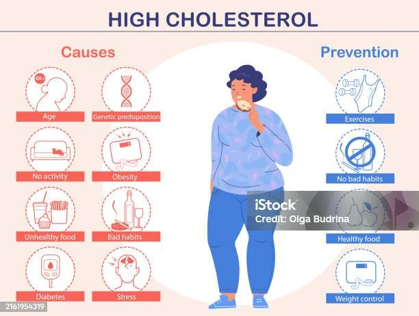 Kolesterol Tinggi: Gejala, Penyebab, Pengobatan, dan Pencegahan