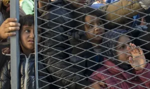 Krisis Imigran Maroko di Spanyol: Investigasi dan Tindakan