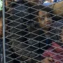 Krisis Imigran Maroko di Spanyol: Investigasi dan Tindakan
