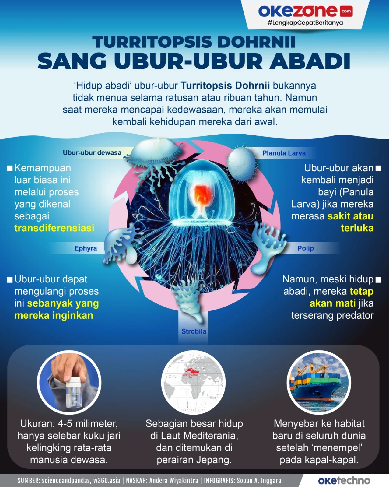 Mengenal Turritopsis Dohrnii, Ubah Diri menjadi Abadi