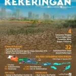 Menghadapi Kekeringan di Indonesia: Dampak dan Upaya Penanganan