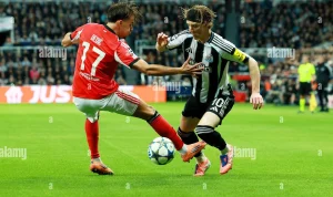 Newcastle United Siap Boyong Amar Dedic dari Benfica?