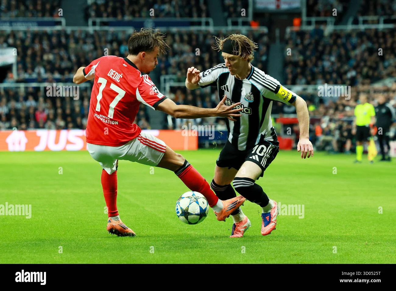 Newcastle United Siap Boyong Amar Dedic dari Benfica?