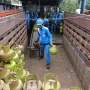 Pemulihan Suplai BBM dan LPG di Flores Pasca Gempa Bumi