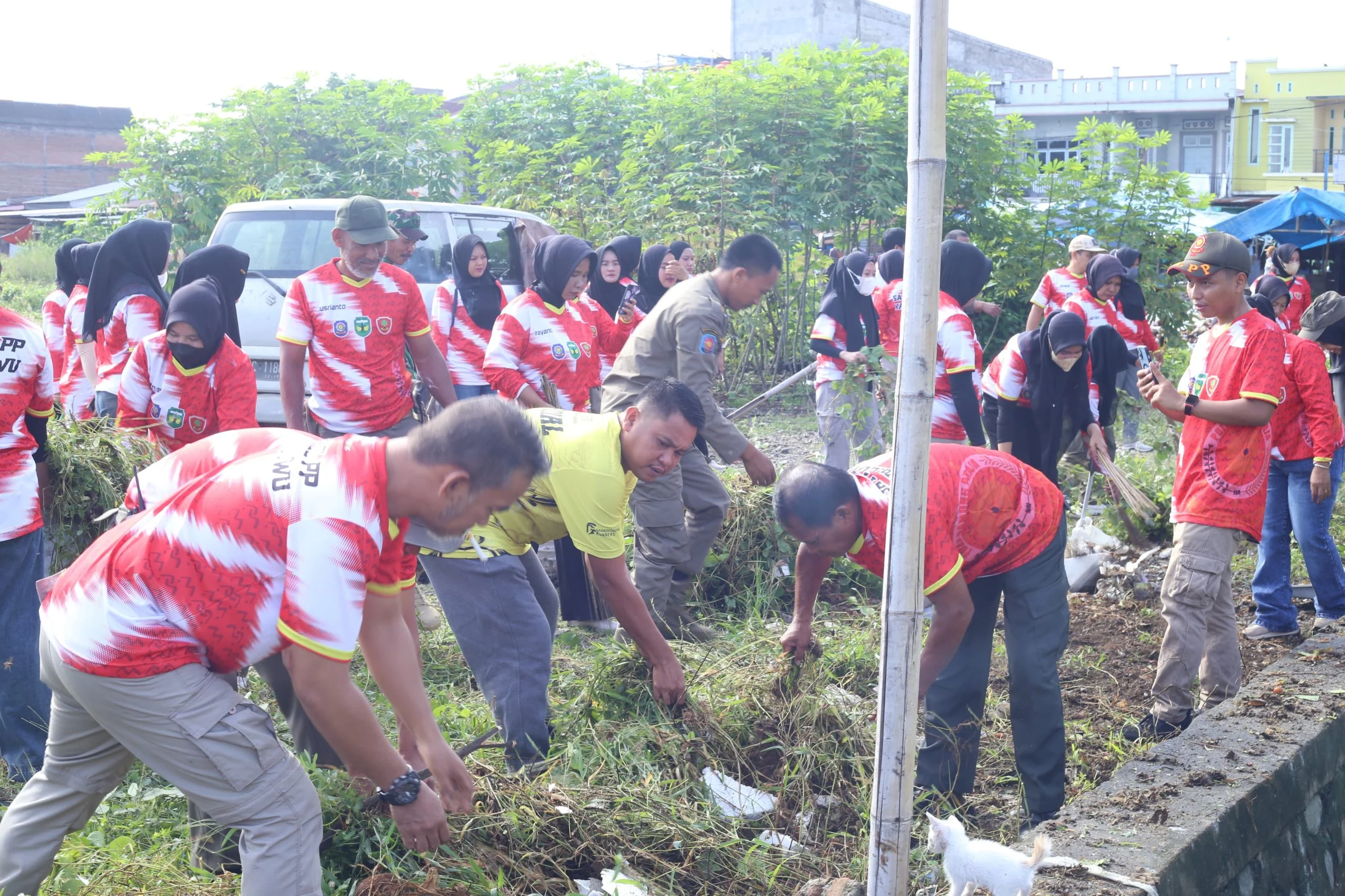 PHA Restorasi 808 Taman di Lahore, Masyarakat dan Siswa Dilibatkan