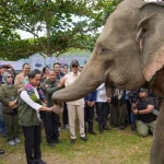 Raja Juli Antoni: Strategi Konservasi Gajah Sumatra dan Kasus Korupsi yang Mengancam