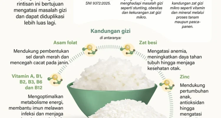 Skandal Beras Fortifikasi dan Kasus Korupsi di Badan Gizi Nasional