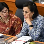 Sri Mulyani dan Destry Damayanti: Dua Perempuan di Puncak Ekonomi Indonesia