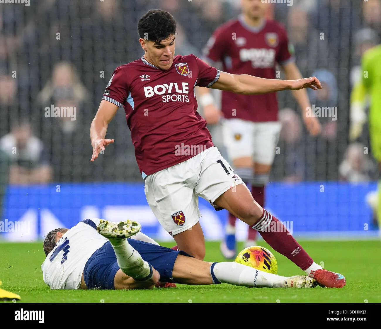 Tottenham Hotspur Perkuat Midfield dengan Tanda Tangan Mateus Fernandes