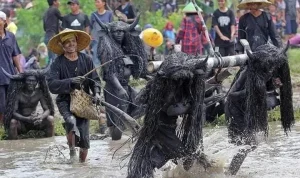 Tradisi Tolak Bala: Mengenal Makna dan Sejarah di Balik Ritual Unik di Indonesia