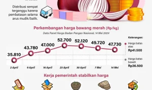 Upah Pengupas Bawang Rp 700.000 per Kg, Apakah Angka Ini Realistis?