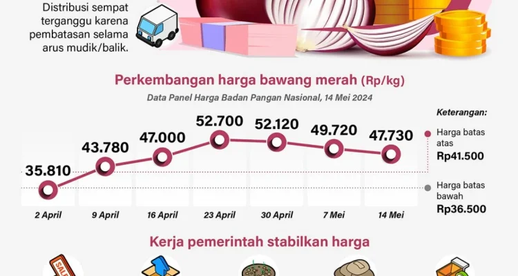 Upah Pengupas Bawang Rp 700.000 per Kg, Apakah Angka Ini Realistis?